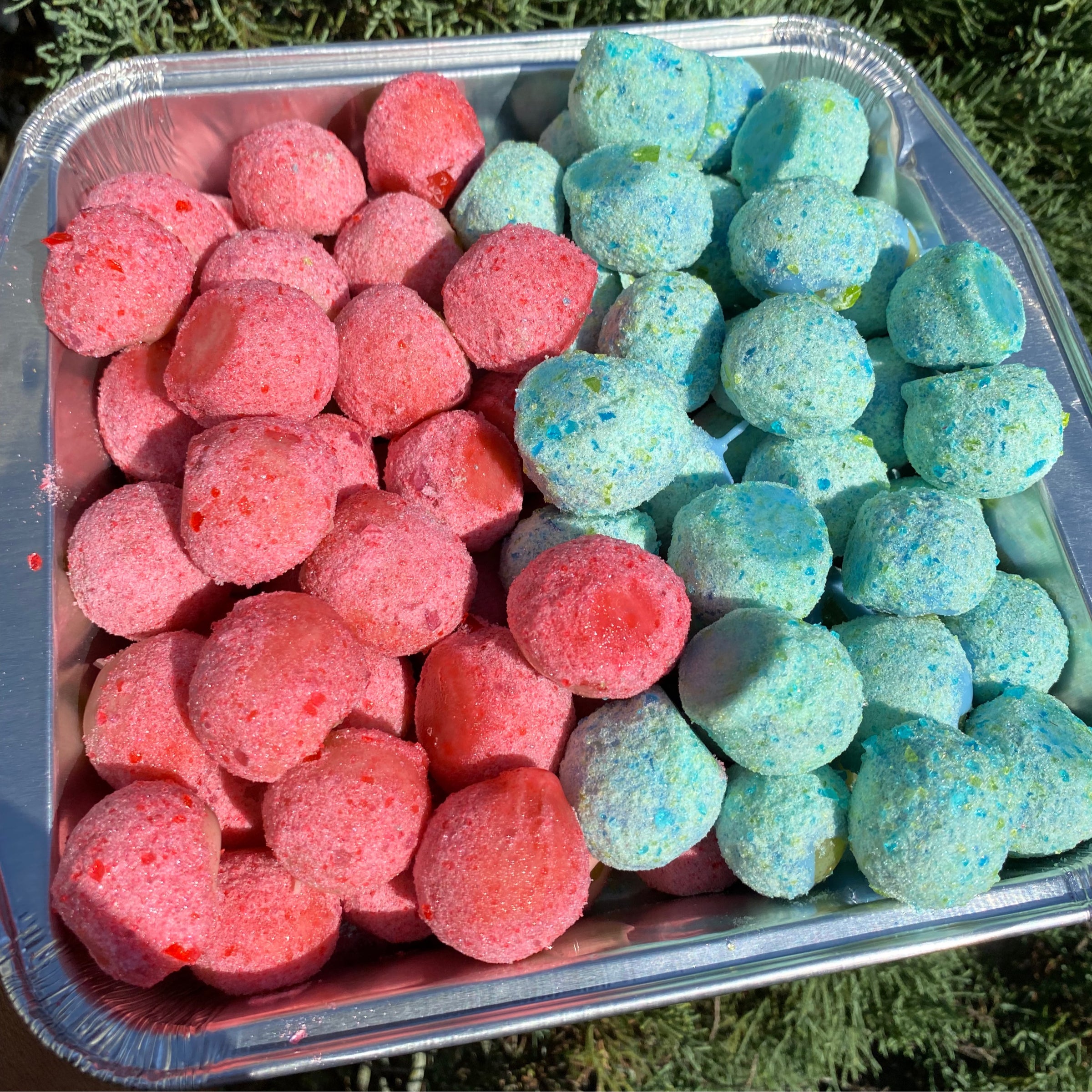 Grapes (LARGE) | Candied Treatz