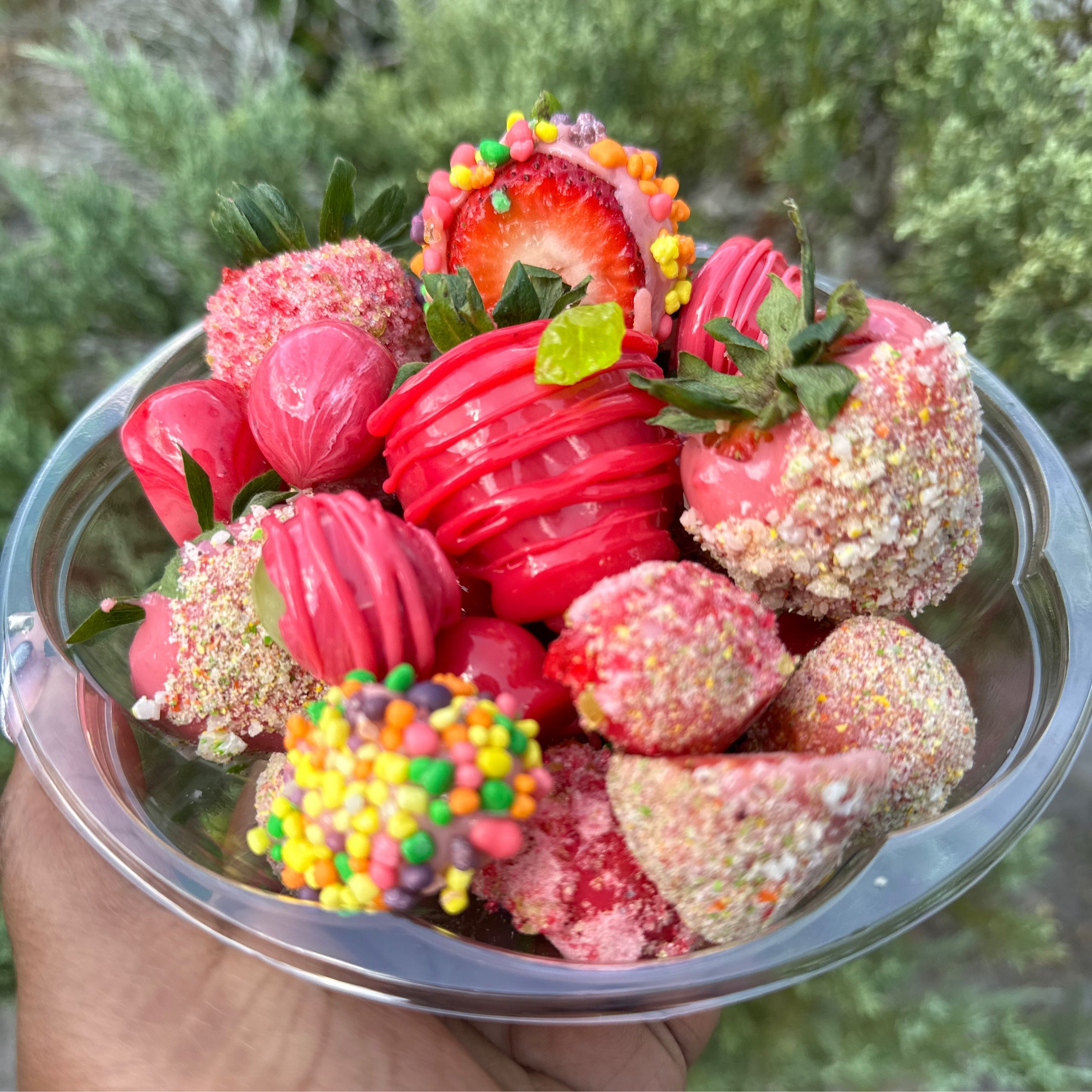 Candied Fruit Bowl Candied Treatz